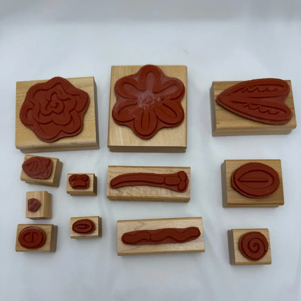 Stampin’ Up! Rose Rhapsody & 🌸 Springtime Fun Rubber Stamp Sets L